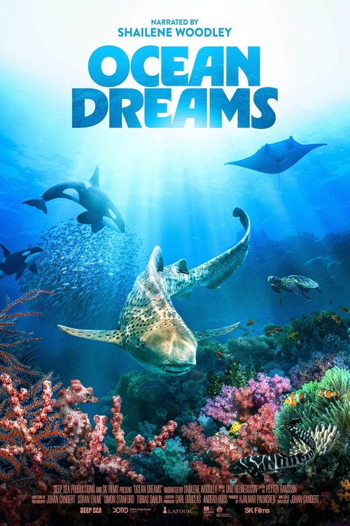 Ocean Dreams – Full Details